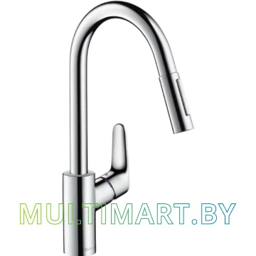 Смеситель Hansgrohe Focus 31815000
